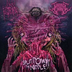 Open Flesh Wound / Gangrenous Flesh Consumption - Split Down The Middle