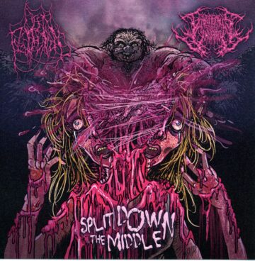 Open Flesh Wound / Gangrenous Flesh Consumption - Split Down The Middle