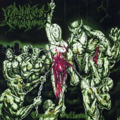 Voracious Contempt - Exquisite Suffering