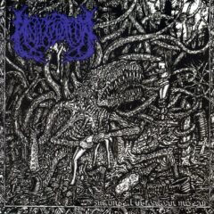 Mulyfication - Swamped In Forlorn Misery