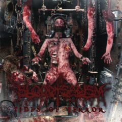 Hallucinating - Carnage Bloody Sadism - Tides of Terror