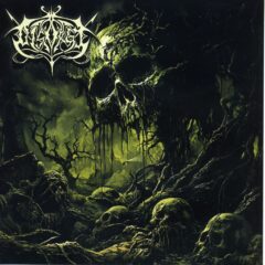 Disogrge - Disgorge