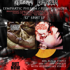 Lymphatic Phlegm / Fleshgrinder - Split (LP - Black)