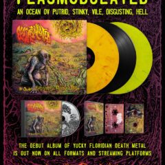 Plasmodulated - An Ocean ov Putrid, Stinky, Vile, Disgusting Hell (LP)