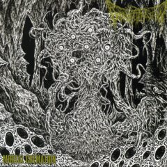 Defenestration - Mortal Cremation Defenestration - Mortal Cremation