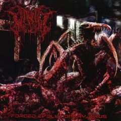 Vault - Forced Evolutionary Virus Vault - Forced Evolutionary Virus