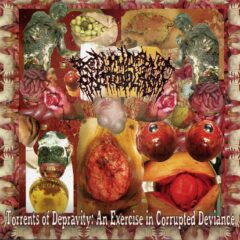 Redundant Protoplasm - Torrents of Depravity: An Exercise In Corrupted Deviance