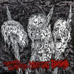 Bowel Leakage / Meat Gag / Flaxgrind - 3-way Split CD