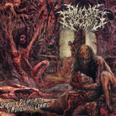 Divicious Execution - Severely Dilapidation In Horrendous Lunatic