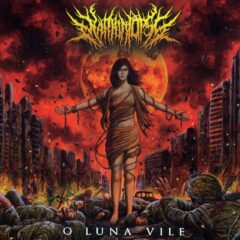 Mariontopsy - O Luna Vile