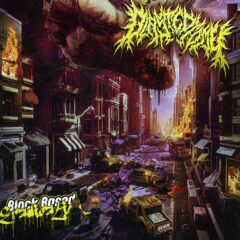 Plasteotomy - Block Based Eradication