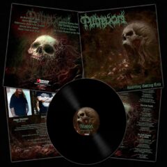 Putrevore - Unending Rotting Cycle (LP - Black) Putrevore - Unending Rotting Cycle (LP - Black)