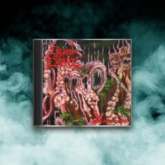 Gored Embrace  - Chicago Death