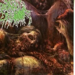 *untshredder - Vomit into Bitch's Ass