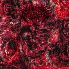 Languish In Despair - Strain of Profanity