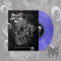 Impending Rot - Anatomical Discorporated Aberration   (LP/Purple-Marble)