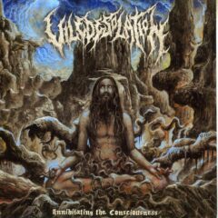 Vile Desolation - Annihilating the Consciousness Vile Desolation - Annihilating the Consciousness
