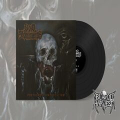 Void Monuments - Posthumous Imprecation  (LP / Black)