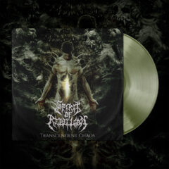 vinyl mockup