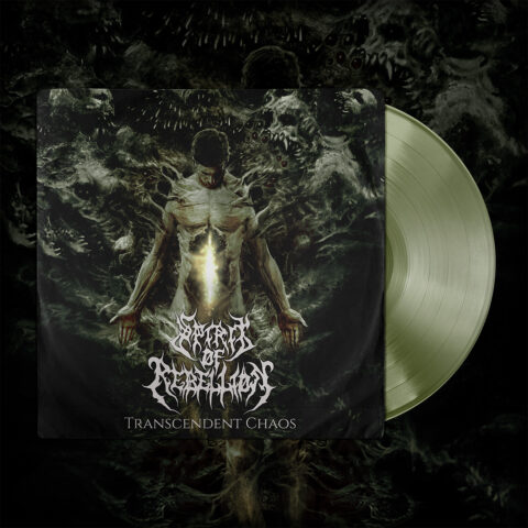 vinyl mockup