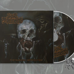 Void Monuments - Posthumous Imprecation