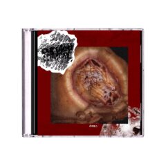 Curdled Crowning - Demo (Mini CD) Curdled Crowning - Demo (Mini CD)