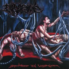 Divulsive - Spawned in Viscera Divulsive - Spawned in Viscera
