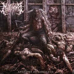 Multiwomb - Anatomy of Gorelsut Multiwomb - Anatomy of Gorelsut